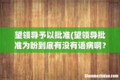 望领导批准为盼到底有没有语病啊？ 望领导予以批准