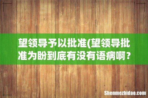 望领导批准为盼到底有没有语病啊? 望领导予以批准