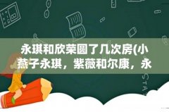小燕子永琪，紫薇和尔康，永琪和欣荣分别都是在哪几集圆房合洞房 永琪和欣荣圆了几次房