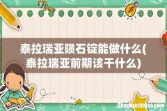 泰拉瑞亚前期该干什么 泰拉瑞亚陨石锭能做什么
