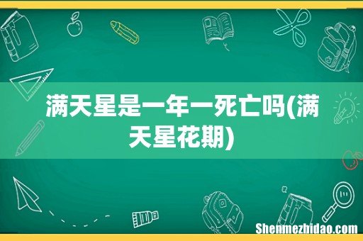 满天星花期 满天星是一年一死亡吗