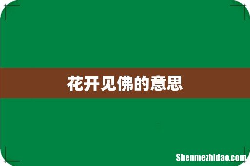 花开见佛的意思