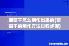 葡萄干的制作方法过程步骤 葡萄干怎么制作出来的