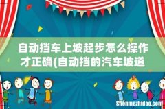 自动挡的汽车坡道起步怎么操作 自动挡车上坡起步怎么操作才正确