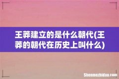 王莽的朝代在历史上叫什么 王莽建立的是什么朝代
