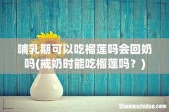 戒奶时能吃榴莲吗？ 哺乳期可以吃榴莲吗会回奶吗