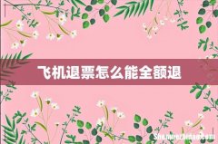 飞机退票怎么能全额退