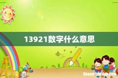 13921数字什么意思