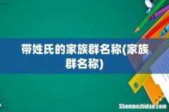 家族群名称 带姓氏的家族群名称