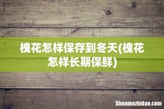 槐花怎样长期保鲜 槐花怎样保存到冬天