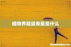 植物界超级寿星是什么