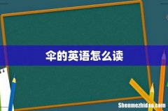 伞的英语怎么读