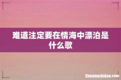 难道注定要在情海中漂泊是什么歌