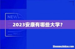 2023安康有哪些大学？