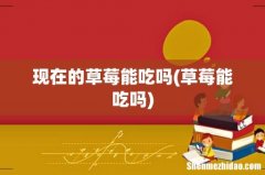 草莓能吃吗 现在的草莓能吃吗