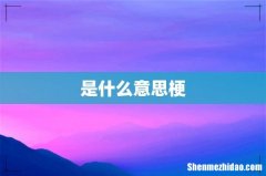是什么意思梗