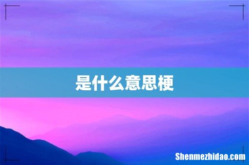 是什么意思梗
