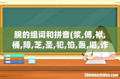 浆,傅,袱,桶,障,芝,圣,犯,馅,轰,堪,诈,傻,捏,怔的组词？ 腕的组词和拼音