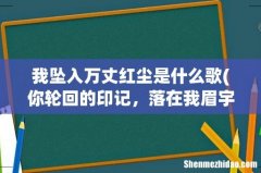 你轮回的印记，落在我眉宇，是哪首歌里的歌词？ 我坠入万丈红尘是什么歌