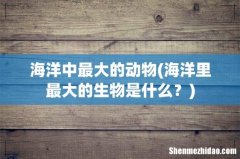 海洋里最大的生物是什么？ 海洋中最大的动物