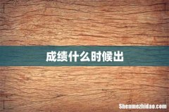 成绩什么时候出