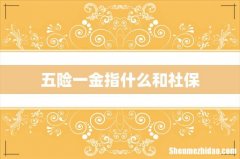 五险一金指什么和社保