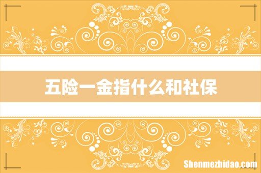 五险一金指什么和社保
