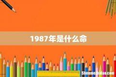 1987年是什么命