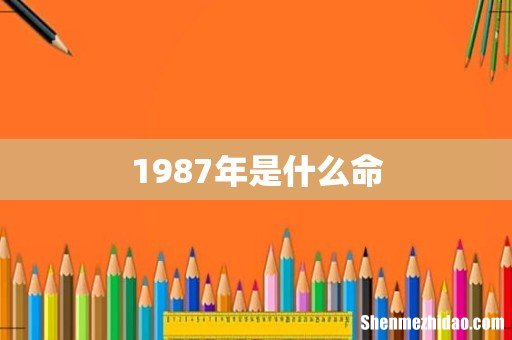 1987年是什么命