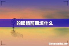 的眼睛前面填什么