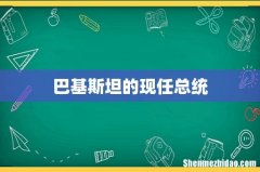 巴基斯坦的现任总统
