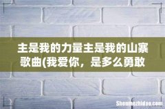 我爱你，是多么勇敢，多么坚固的信仰，这是什么歌 主是我的力量主是我的山寨歌曲
