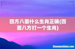 四面八方打一个生肖 四方八面什么生肖正确