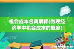 微观经济学中机会成本的概念 机会成本名词解释