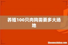 养殖100只肉狗需要多大场地