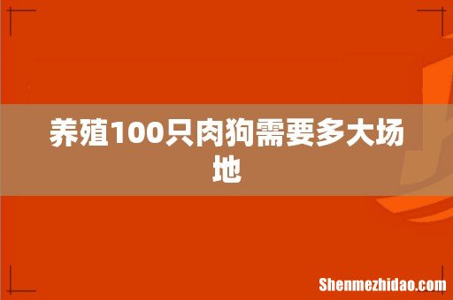 养殖100只肉狗需要多大场地
