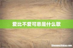 爱比不爱可悲是什么歌