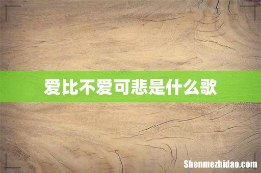 爱比不爱可悲是什么歌