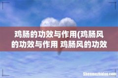鸡肠风的功效与作用 鸡肠风的功效与作用介绍 鸡肠的功效与作用