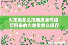 火龙果怎么挑选皮薄肉甜 买回来的火龙果怎么保存