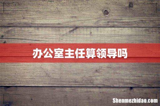 办公室主任算领导吗