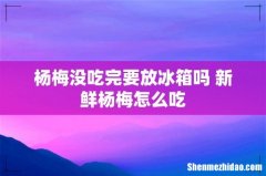 杨梅没吃完要放冰箱吗 新鲜杨梅怎么吃