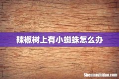 辣椒树上有小蜘蛛怎么办