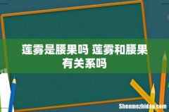 莲雾是腰果吗 莲雾和腰果有关系吗