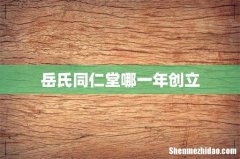 岳氏同仁堂哪一年创立