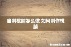 自制桃脯怎么做 如何制作桃脯