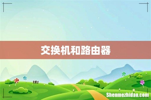 交换机和路由器