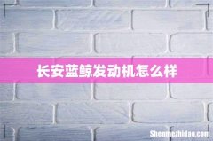 长安蓝鲸发动机怎么样