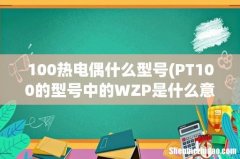 PT100的型号中的WZP是什么意思 100热电偶什么型号