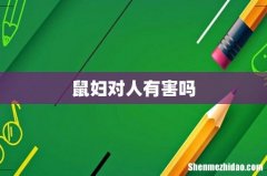 鼠妇对人有害吗